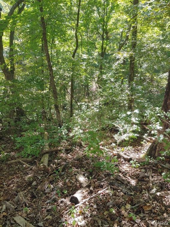 Lake Sherwood Estates - Land