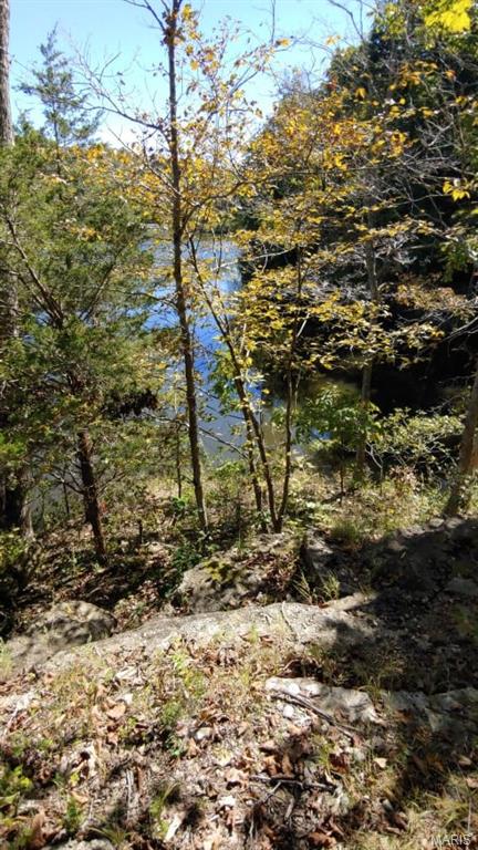 Lake Sherwood Estates - Land