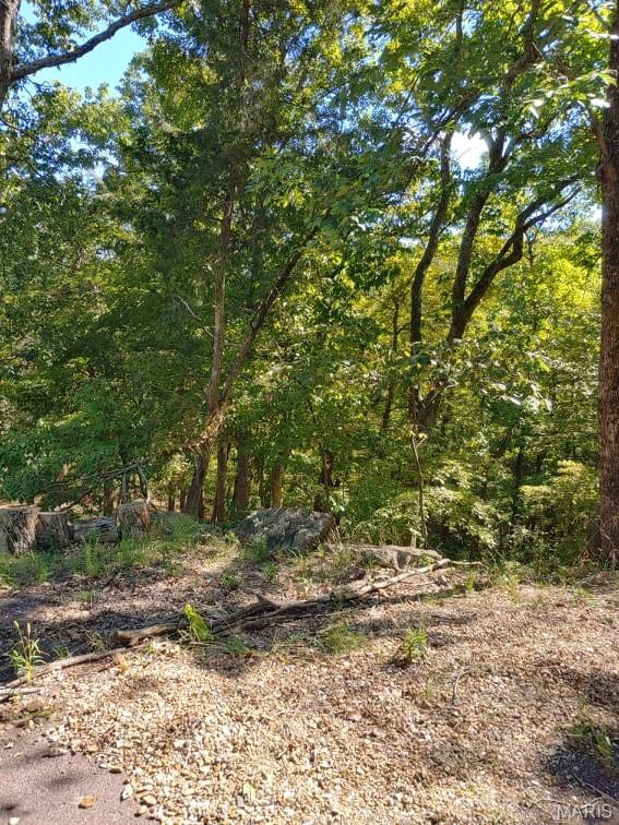 Lake Sherwood Estates - Land