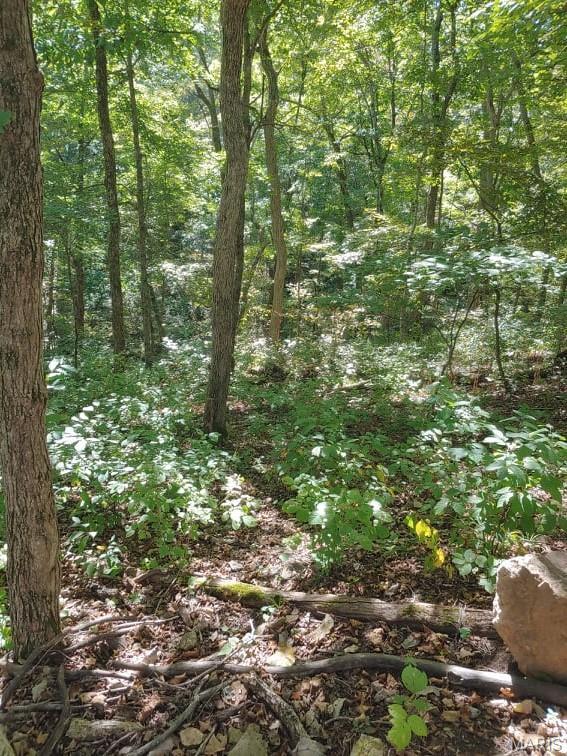 Lake Sherwood Estates - Land