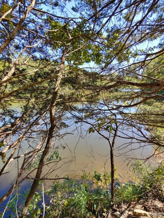 Lake Sherwood Estates - Land