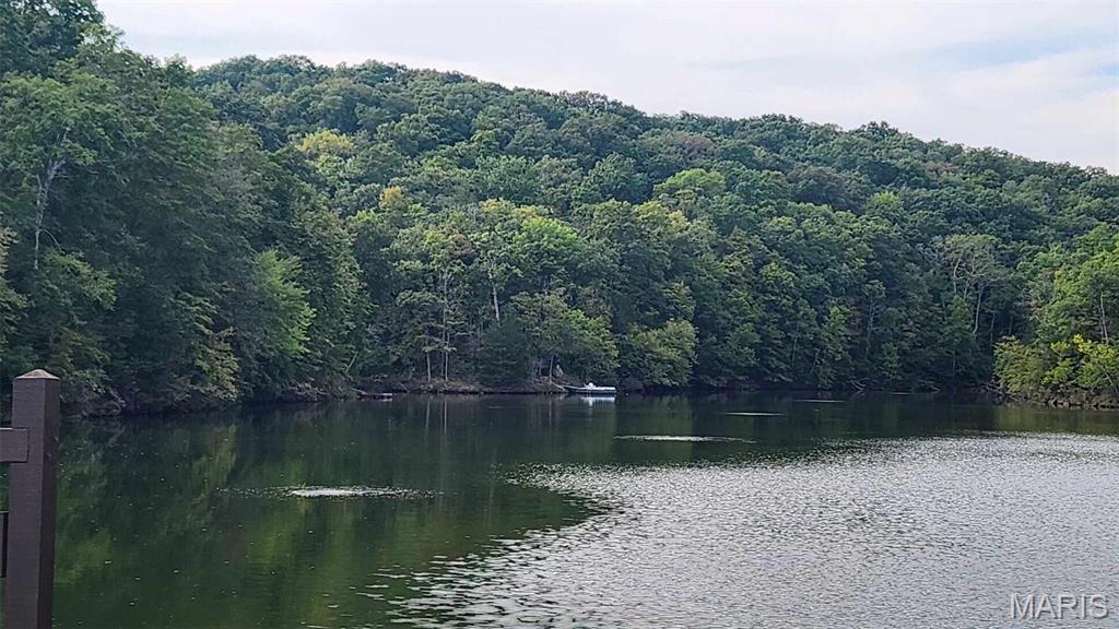 Lake Sherwood Estates - Land