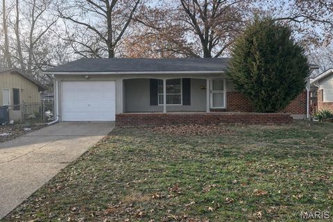Photo of 11043 Landseer Drive, St Louis, MO 63136 (MLS # 26007758)