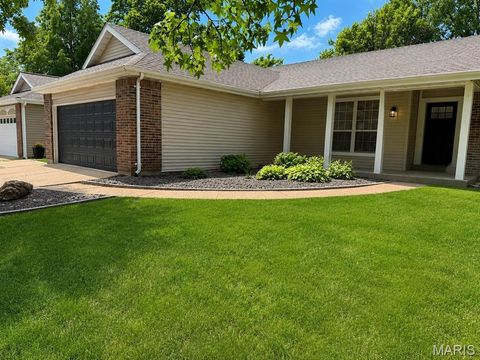 Photo of 659 Foxtail Drive, Florissant, MO 63034 (MLS # 26033618)