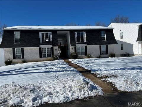 505 N Monroe Street 8 Pacific MO 63069