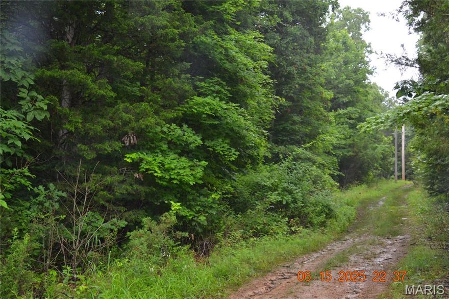 9 M/L (Surveyed October 2025) Beautiful secluded wooded acreage with creek access.  Power lines run thru property so you can offset your dream home back off the road and keep costs down.  Lots of wildlife, and paved road if you come in from the St Francois County Side of Old Cadet Rd.  One boundary line IS the St Francois County line.  Several NICE homes in the area yet still close to stores for those needed items.  Building dream home, hunting, trail riding, SxS riding, and camping are some of the things this property offers.