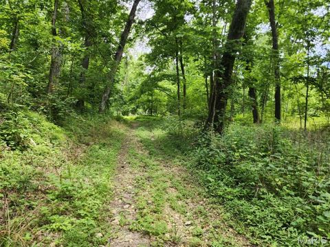 Tiny photo for 0 West Hwy U, Troy, MO 63379 (MLS # 25030099)