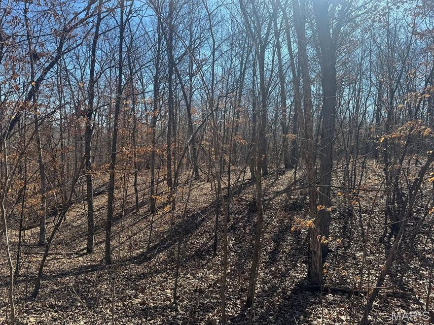 This 5± acre tract is located near Mark Twain Lake and offers a solid mix of open ground and woods. The layout offers several good building spots, whether you’re planning a full-time home or a weekend getaway.  The open areas work well for a home site, shop, or food plot, while the wooded portion adds privacy and a nice setting. It’s the kind of property that fits a lot of uses—build now, hold for the future, or enjoy it as a quiet retreat close to the lake.  Additional acreage is available.