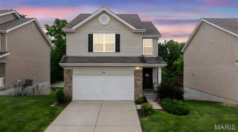 728 English Ivy O'Fallon MO 63368