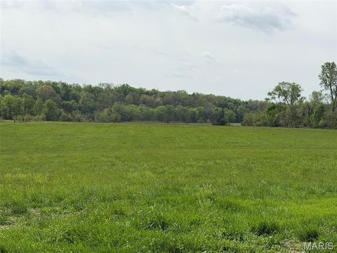 Tiny photo for 25 Highway KK, New Haven, MO 63068 (MLS # 26024164)