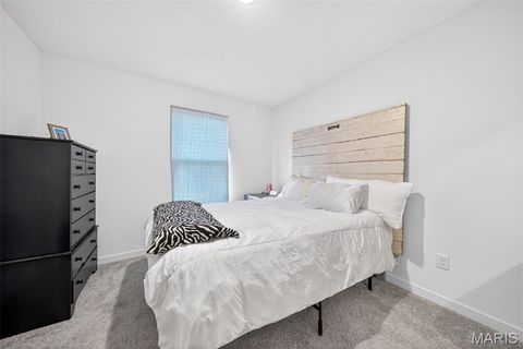Tiny photo for 224 Rio Grande Court, Troy, MO 63379 (MLS # 26028032)