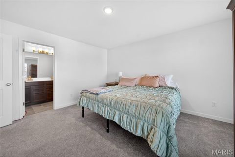 Tiny photo for 224 Rio Grande Court, Troy, MO 63379 (MLS # 26028032)