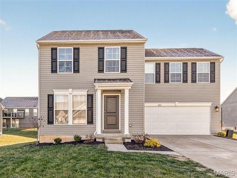 Tiny photo for 224 Rio Grande Court, Troy, MO 63379 (MLS # 26028032)