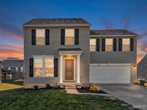 Photo of 224 Rio Grande Court, Troy, MO 63379 (MLS # 26028032)
