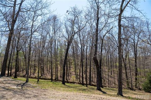Tiny photo for 4479 BCR 820, Glen Allen, MO 63751 (MLS # 26021545)