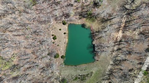 Tiny photo for 4479 BCR 820, Glen Allen, MO 63751 (MLS # 26021545)