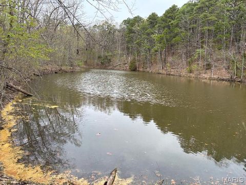 Tiny photo for 000 W State Highway 8, Potosi, MO 63664 (MLS # 26020691)