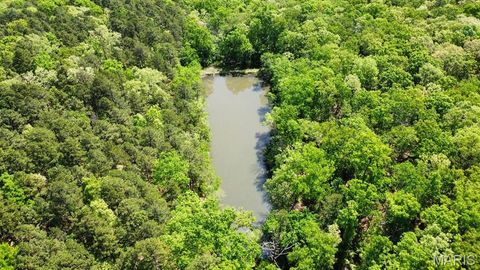 Tiny photo for 000 W State Highway 8, Potosi, MO 63664 (MLS # 26020691)
