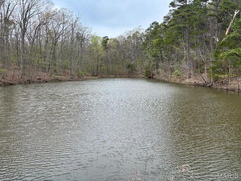 Tiny photo for 000 W State Highway 8, Potosi, MO 63664 (MLS # 26020691)