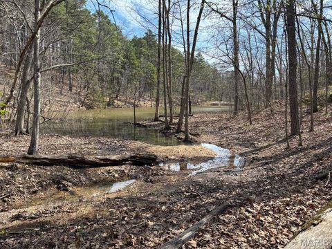 Tiny photo for 000 W State Highway 8, Potosi, MO 63664 (MLS # 26020691)