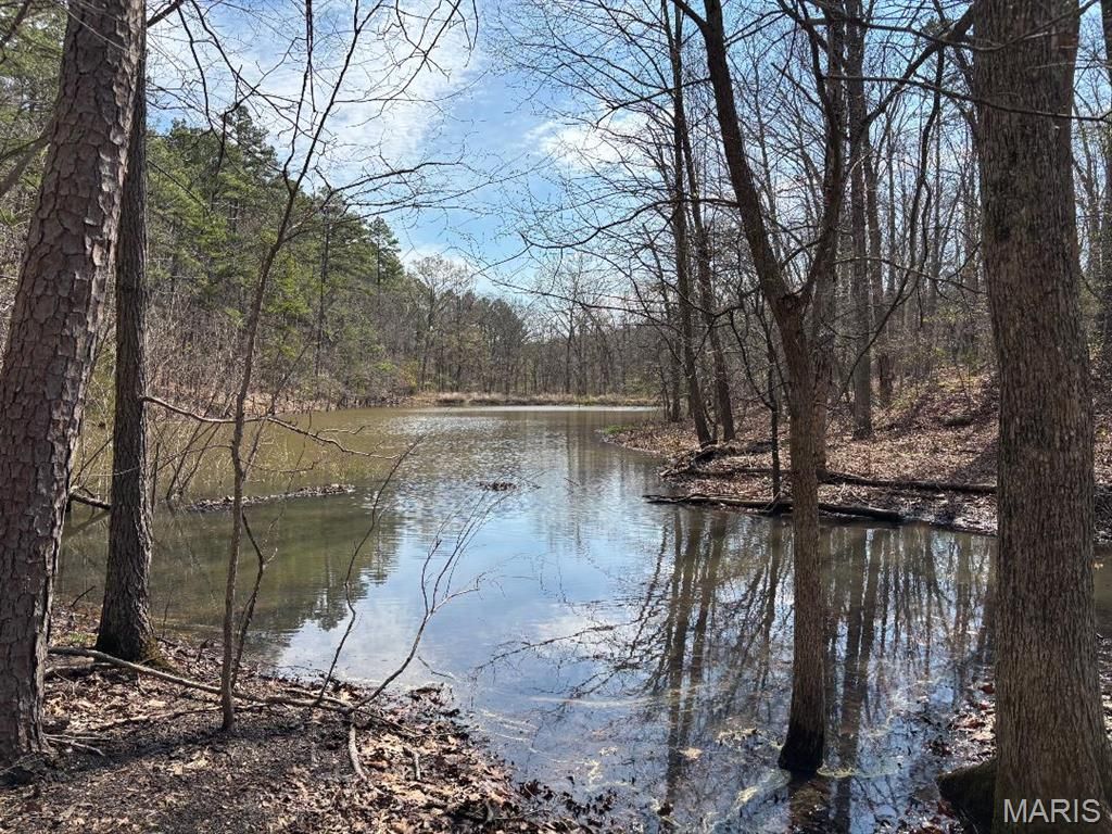 Photo of 000 W State Highway 8, Potosi, MO 63664 (MLS # 26020691)