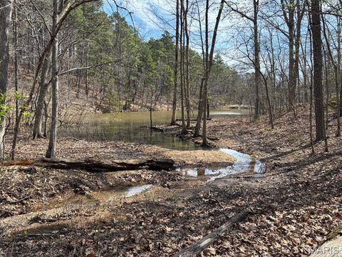 Tiny photo for 000 W State Highway 8, Potosi, MO 63664 (MLS # 26020691)