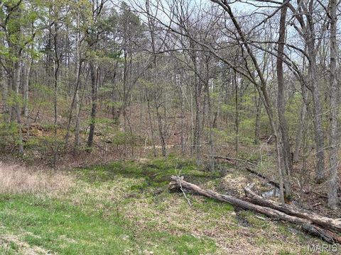 Tiny photo for 000 W State Highway 8, Potosi, MO 63664 (MLS # 26020691)