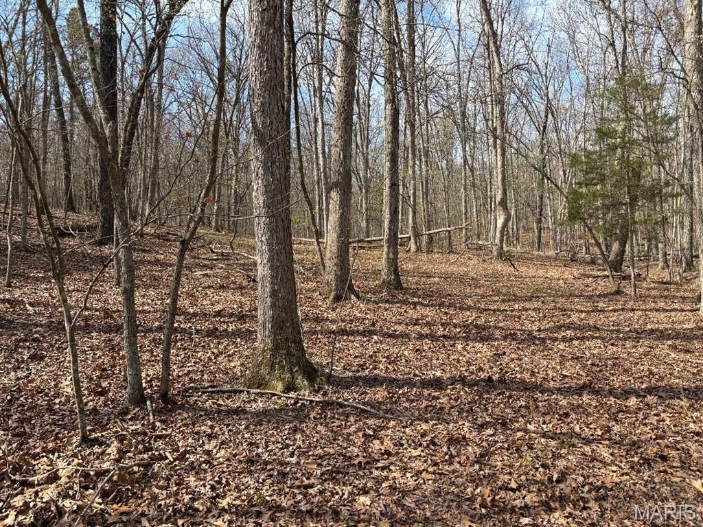 Photo of 000 W State Highway 8, Potosi, MO 63664 (MLS # 26020691)