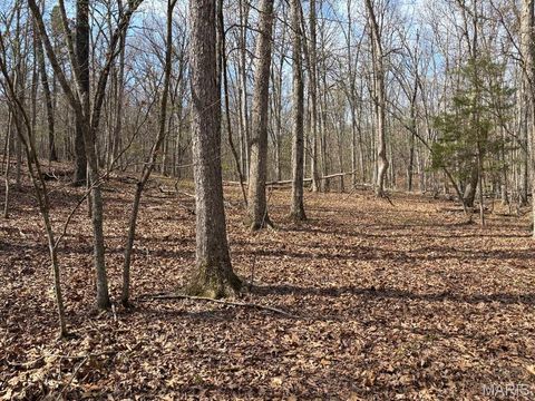 Tiny photo for 000 W State Highway 8, Potosi, MO 63664 (MLS # 26020691)