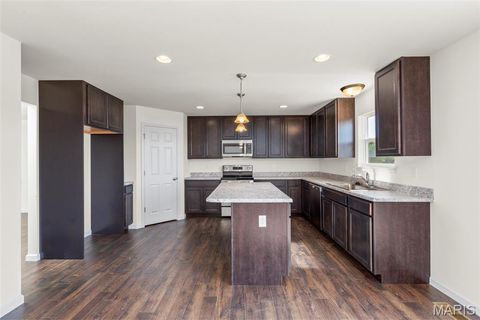 Tiny photo for 533 Evening Primrose Drive, Wentzville, MO 63385 (MLS # 25069950)