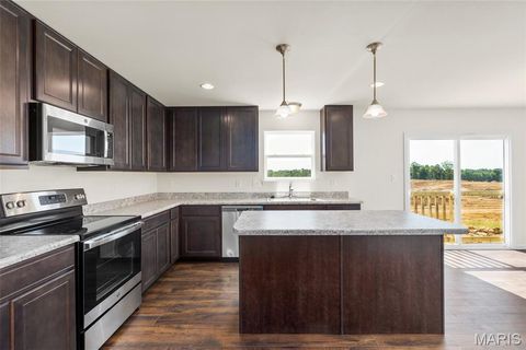 Tiny photo for 533 Evening Primrose Drive, Wentzville, MO 63385 (MLS # 25069950)