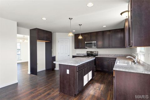 Tiny photo for 533 Evening Primrose Drive, Wentzville, MO 63385 (MLS # 25069950)
