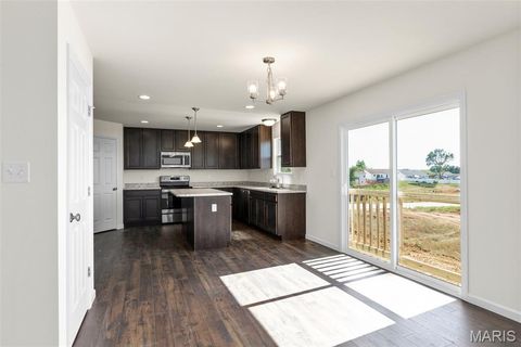 Tiny photo for 533 Evening Primrose Drive, Wentzville, MO 63385 (MLS # 25069950)