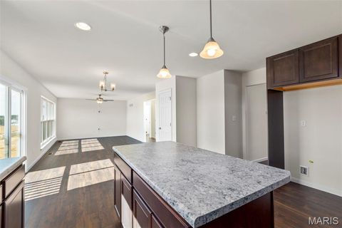 Tiny photo for 533 Evening Primrose Drive, Wentzville, MO 63385 (MLS # 25069950)