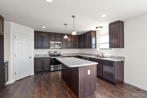 Tiny photo for 533 Evening Primrose Drive, Wentzville, MO 63385 (MLS # 25069950)