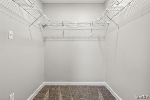 Tiny photo for 131 N Alexander Street, Farmington, MO 63640 (MLS # 26017978)