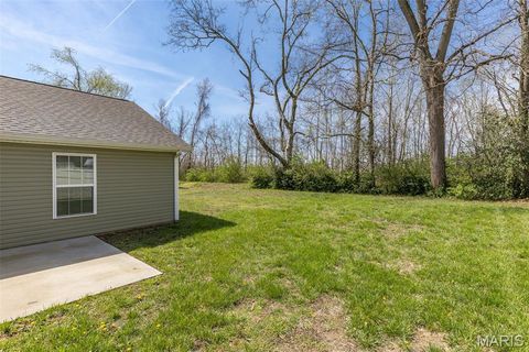 Tiny photo for 131 N Alexander Street, Farmington, MO 63640 (MLS # 26017978)