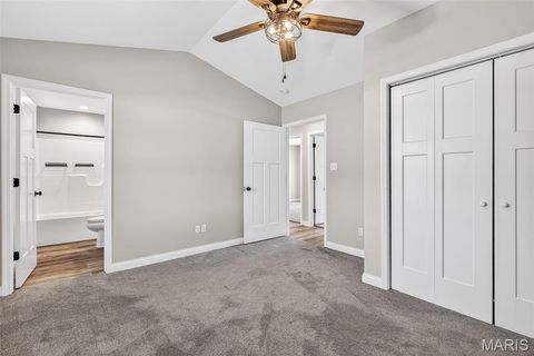 Tiny photo for 131 N Alexander Street, Farmington, MO 63640 (MLS # 26017978)