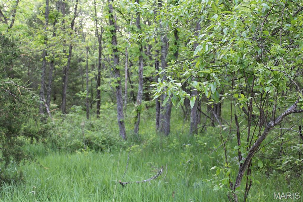 110 Pump House Lane