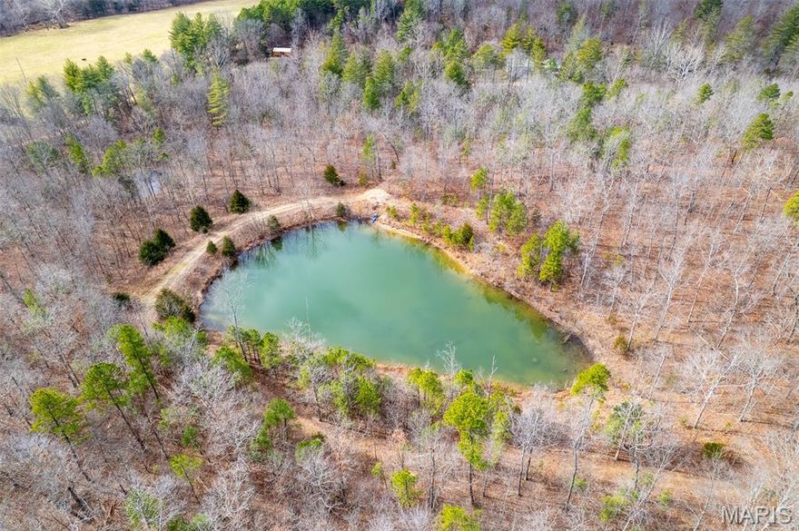 Welcome to an exceptional opportunity to own 284+/- acres of prime Missouri recreational ground in Wayne County. This breathtaking property is rich with mature white oak timber providing incredible habitat for wildlife and long-term value.

The land features five ponds (3 being large and stocked), creating ideal water sources for wildlife and excellent fishing opportunities. Deer and turkey are abundant making this property a true hunter’s paradise. An established trail system throughout the property allowing easy access for hunting, land management, ATV riding, and enjoying every corner of this expansive acreage. 

Backing to Riverside Conservation Area, this tract offers access to an additional 78 acres of public land expanding your hunting, hiking, and outdoor enjoyment right from your own backyard.

Improvements include a cabin, perfect for weekend stays or hunting season and a 40x80 pole barn with electric and a concrete floor. The pole barn could easily be converted into an additional hunting cabin, guest quarters or a private residence. 

Whether you’re looking for a private retreat, premier hunting property, or a long-term land investment, this rare offering checks every box. Properties of this size, quality, and location do not come available often. Showings start 1-19-26!