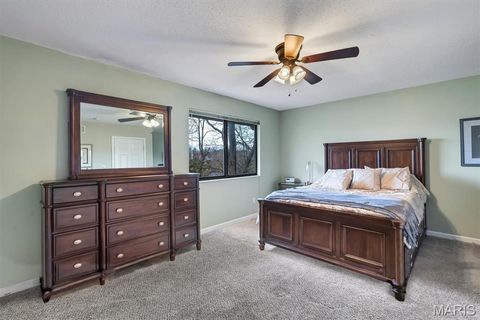 Tiny photo for 603 Painted Vista Drive, Ballwin, MO 63021 (MLS # 26009919)