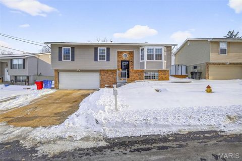 1827 Hilltop Village Lane Imperial MO 63052