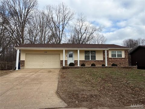 Photo of 1709 Hawthorne Drive, Pacific, MO 63069 (MLS # 25078881)