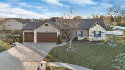 Photo of 23 Eagle Court, Wentzville, MO 63385 (MLS # 25082310)