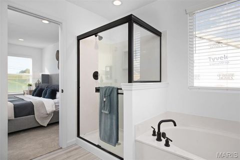 Tiny photo for 2 Royal II at Wilmer Valley, Wentzville, MO 63385 (MLS # 26011406)