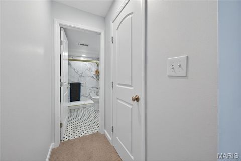 Tiny photo for 950 E Rue De La Banque St #202, Creve Coeur, MO 63141 (MLS # 25066593)