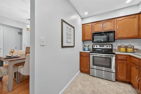 Tiny photo for 950 E Rue De La Banque St #202, Creve Coeur, MO 63141 (MLS # 25066593)