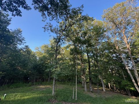 190 Steeple Point Dr. Lot #6 Drive Defiance MO 63341