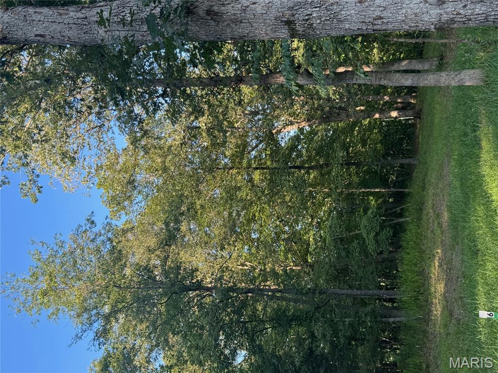 190 Steeple Point Dr. Lot #6 Drive