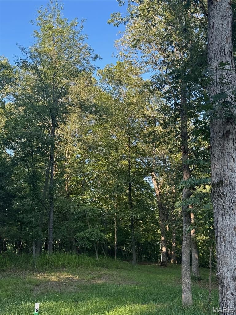 190 Steeple Point Dr. Lot #6 Drive